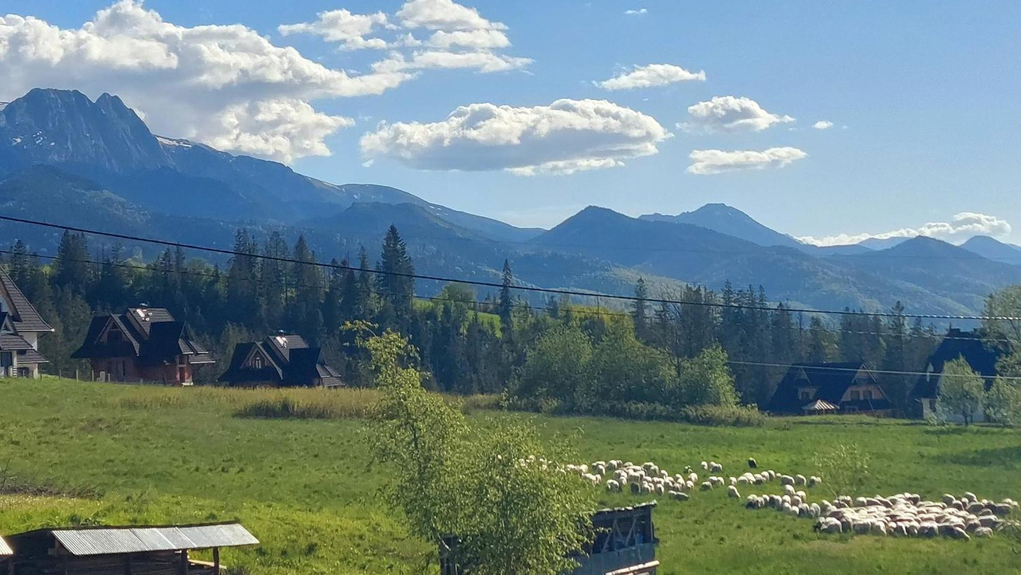 Hrube Zakopane